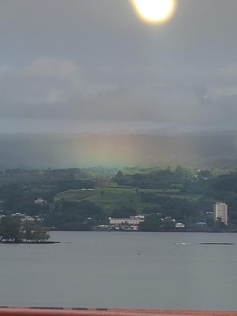 From Hilo: Hawaii Volcanoes National Park Tour - Starting in Hilo: Banyan trees, gardens, and royal history