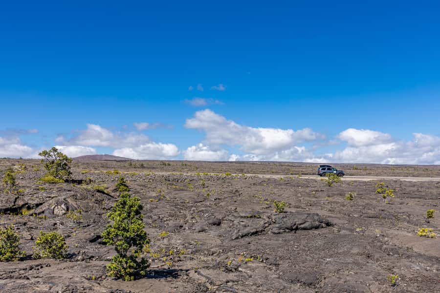 From Kailua-Kona: All-Inclusive Volcanoes National Park Tour - Punaluʻu Black Sand Beach and turtle watching