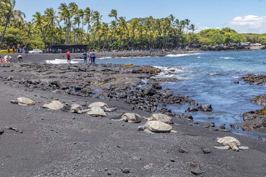 From Kailua-Kona: All-Inclusive Volcanoes National Park Tour - Six hours inside Hawaii Volcanoes National Park