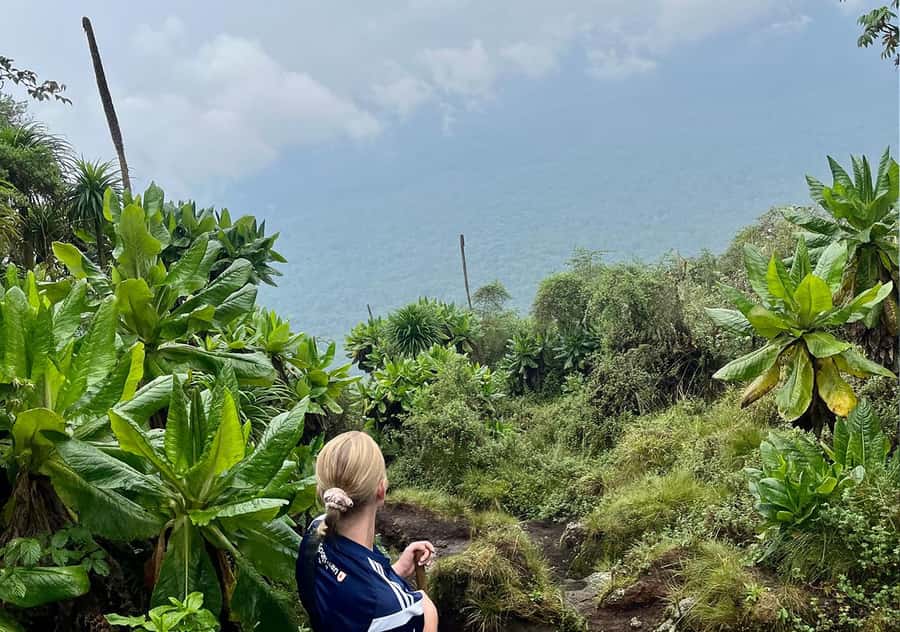 From Kigali: Bisoke Summit Trek, Crater Lake 1 Day Safari - Key points at a glance