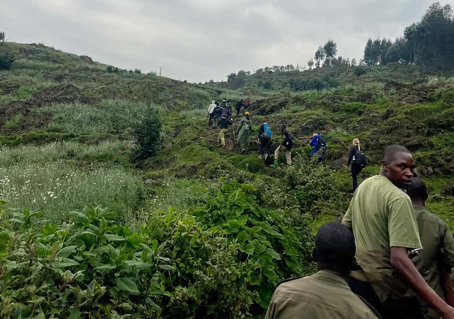 From Kigali: Bisoke Summit Trek, Crater Lake 1 Day Safari - Guides, porters, and the human side of the day