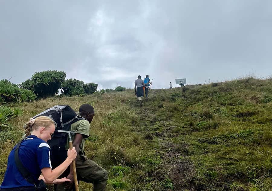 From Kigali: Bisoke Summit Trek, Crater Lake 1 Day Safari - What the $260 price really covers