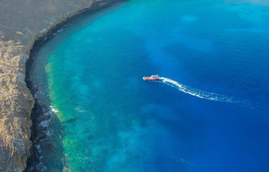From Kihei: Molokini Crater and Turtle Town Snorkeling - The highlights at a glance