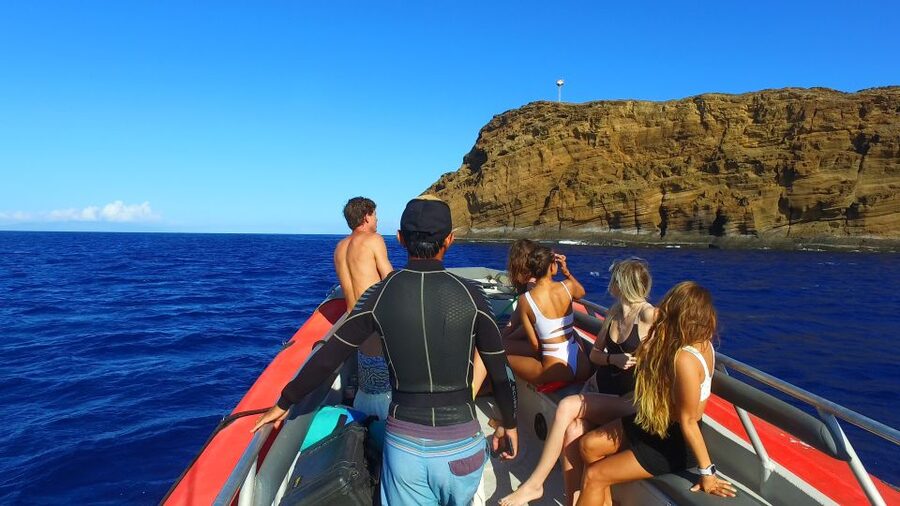 From Kihei: Molokini Crater and Turtle Town Snorkeling - Whale watching between the snorkeling stops