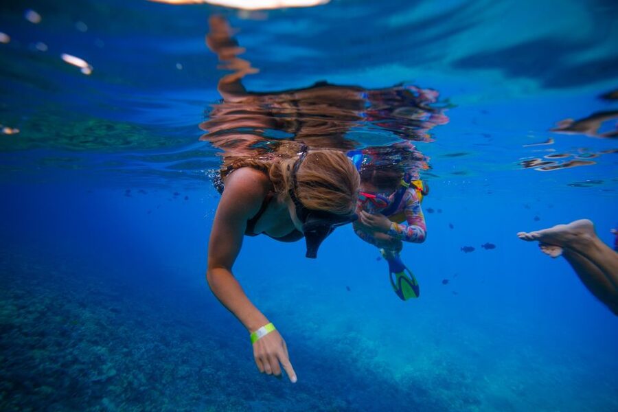 From Kihei: Molokini Crater and Turtle Town Snorkeling - How to prepare for a better morning