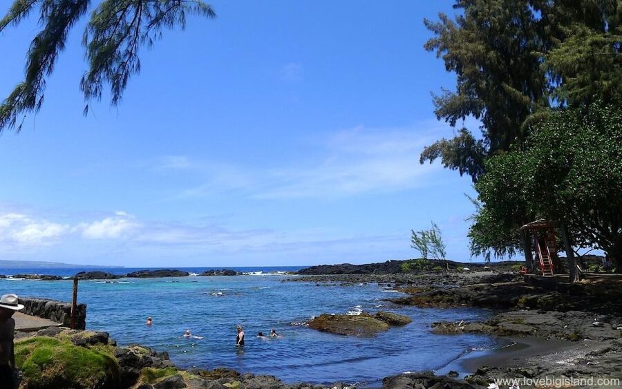 From Kona: Volcano & Waterfall Tour, Small Group - Hilo’s Banyan Drive and Liliʻuokalani Park