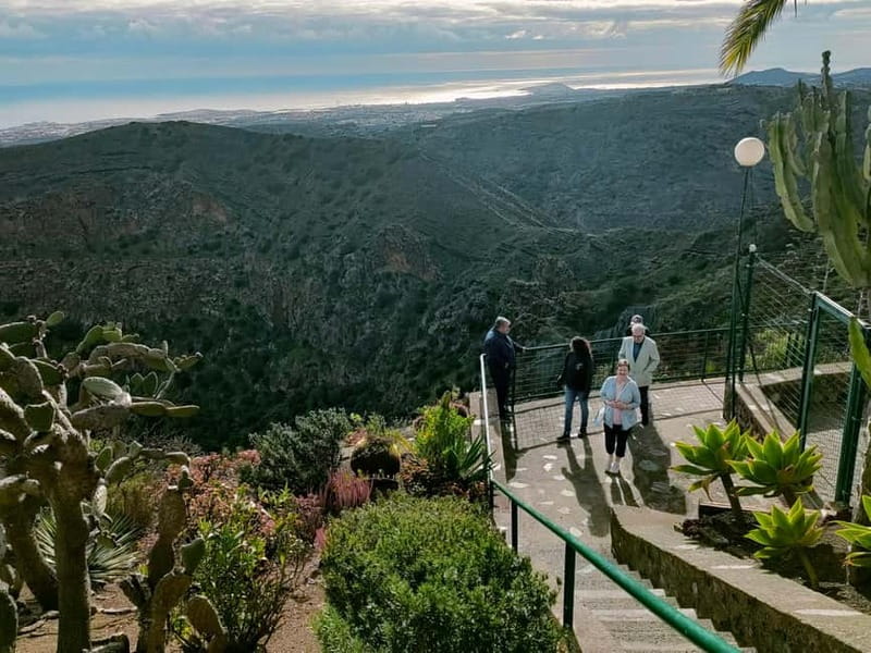 From Las Palmas: Half day tour Volcano Bandama & Vineyard - Key points at a glance