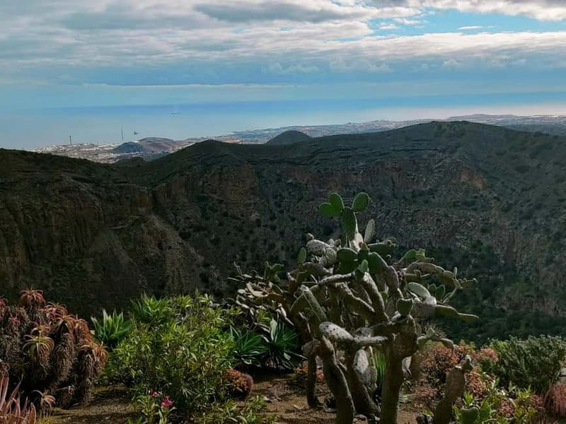 From Las Palmas: Half day tour Volcano Bandama & Vineyard - Bandama volcano and its 1,000-meter crater