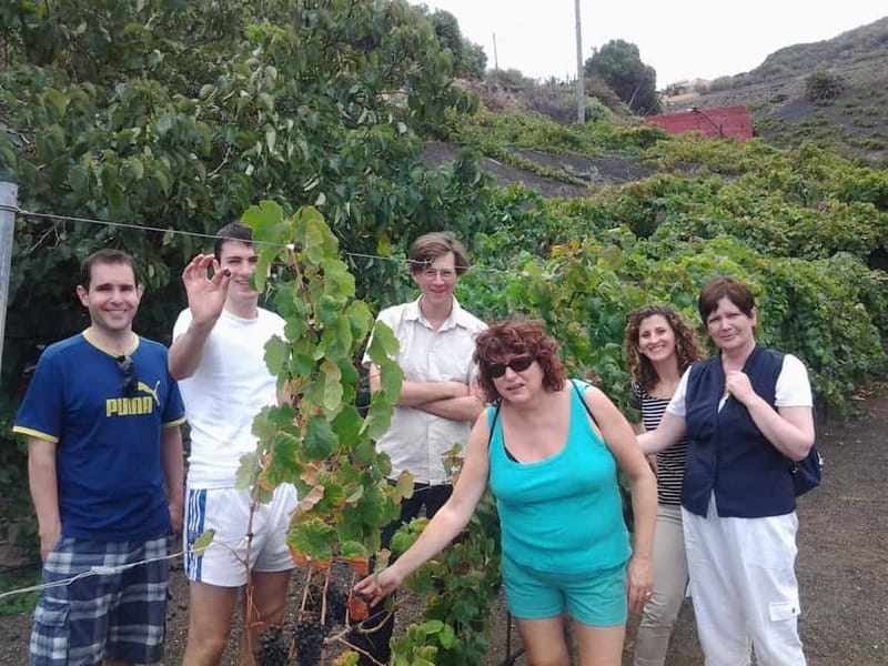 From Las Palmas: Half day tour Volcano Bandama & Vineyard - Who will get the most from this tour?
