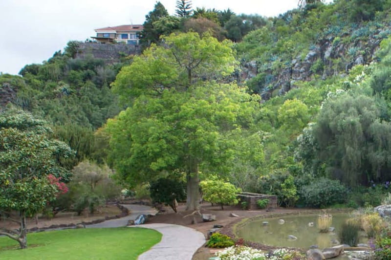 From Las Palmas: Half day tour Volcano Bandama & Vineyard - Tafira’s botanical garden: a gentle start among Canarian plants