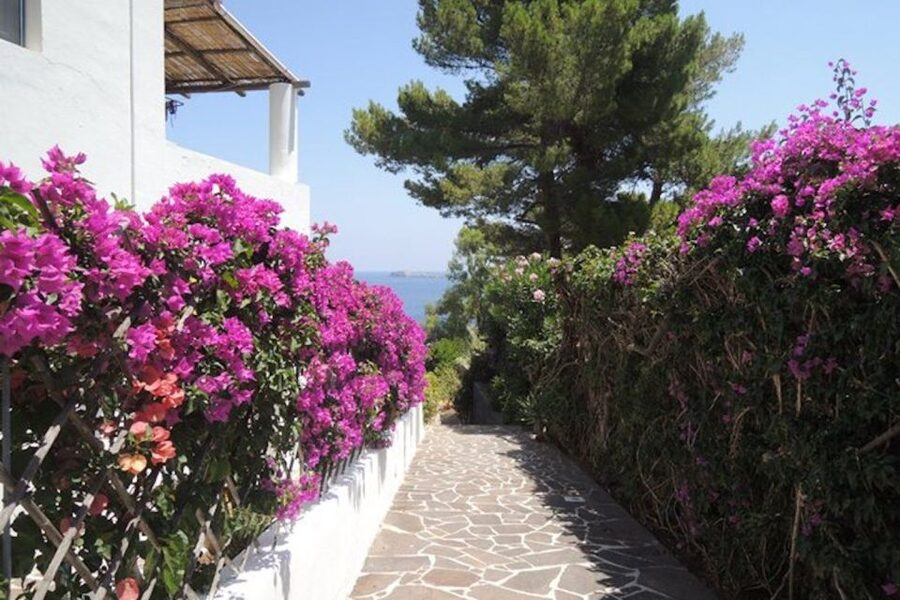 From Lipari: Panarea and Stromboli Cruise with Stops - FAQ