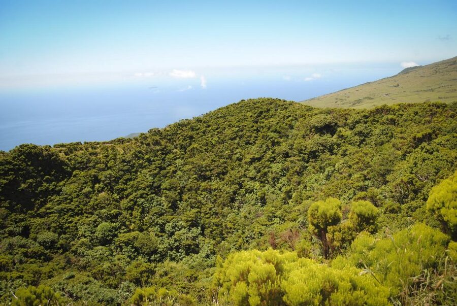 From Madalena: Pico Volcanoes and Lakes Guided Day Tour - Comfort, clothing, and mobility