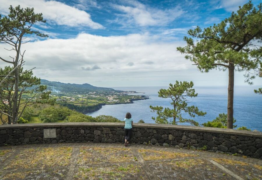 From Madalena: Pico Volcanoes and Lakes Guided Day Tour - Pico’s northern coast and strange lava forms