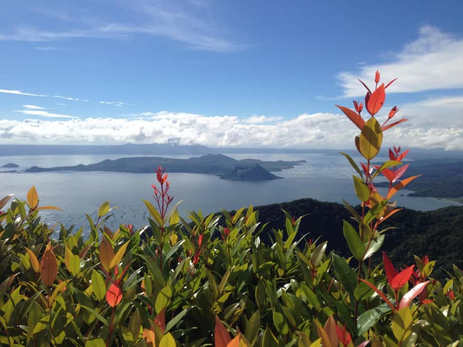 From Manila: Taal Volcano Island & Pagsanjan Falls Day Tour - The optional Taal Lake boat ride