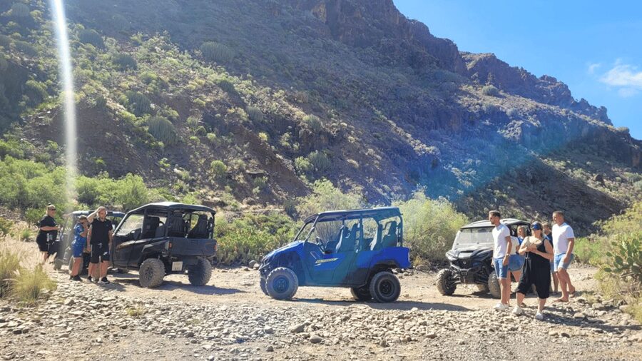 From Maspalomas: Volcanic Landscapes 4-Seater Buggy Tour - What the two-hour schedule feels like