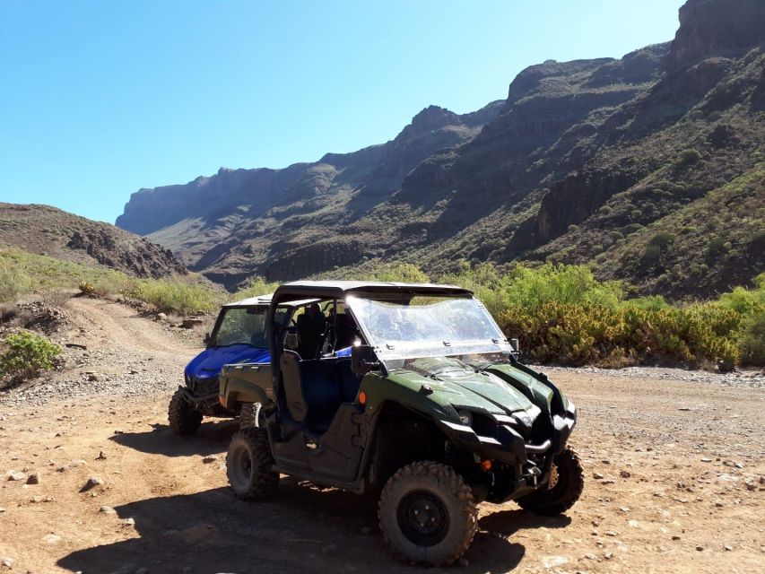 From Maspalomas: Volcanic Landscapes 4-Seater Buggy Tour - Safety, comfort, and what to bring