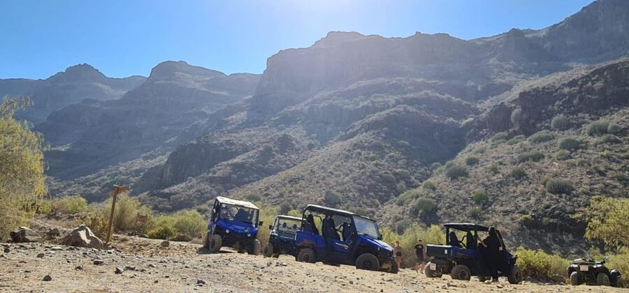 From Maspalomas: Volcanic Landscapes 4-Seater Buggy Tour - Is $177 good value from Maspalomas?