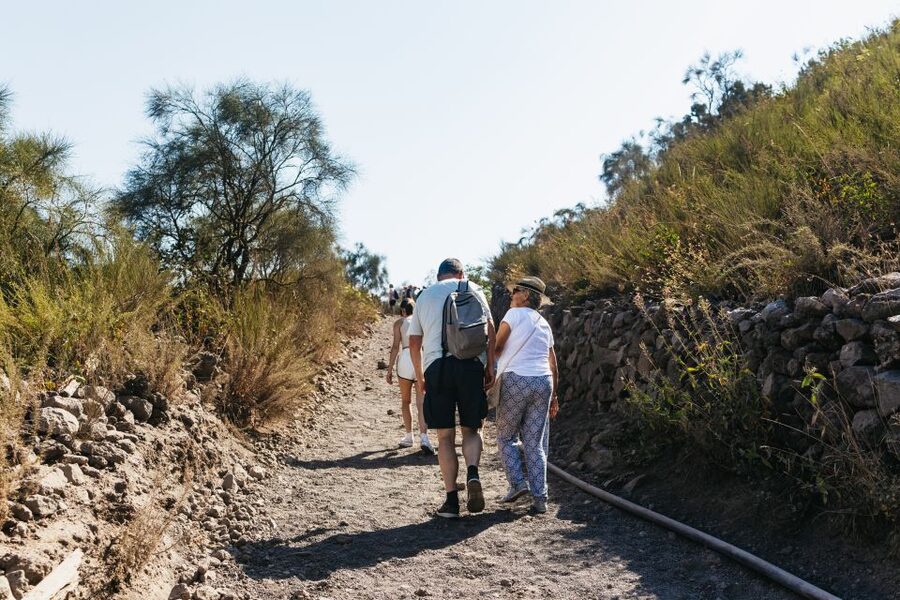 From Naples: All-Inclusive Mount Vesuvius Half-Day Tour - Timing, pace, and the return to Naples