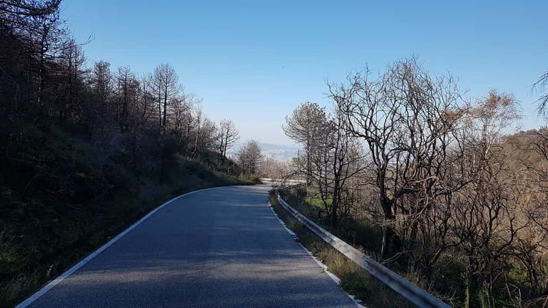 From Naples: Day Trip to Mount Vesuvius - Who will enjoy this trip most