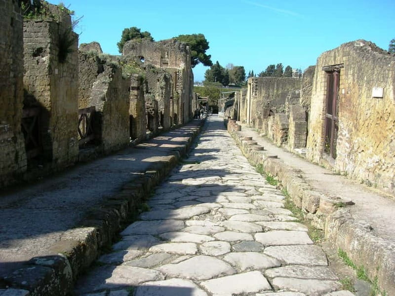 From Naples: Explore the ruins of Herculaneum and Vesuvius - Two hours among streets, shops, and mosaics