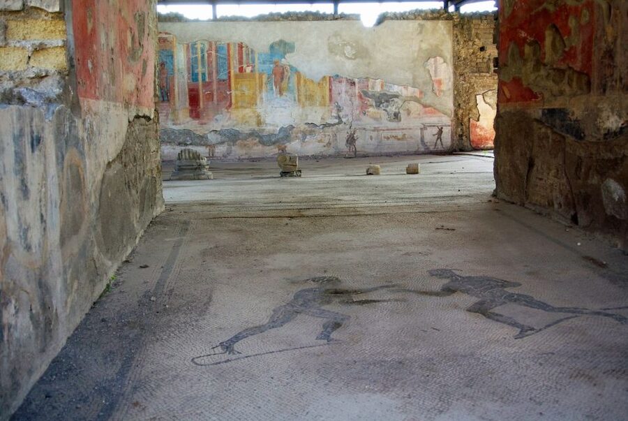From Naples: Herculaneum, Mount Vesuvius & Pompeii Day Trip - Who should book this day trip?