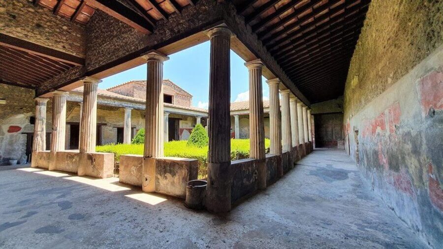 From Naples: Herculaneum, Mount Vesuvius & Pompeii Day Trip - How the guides and drivers affect the day