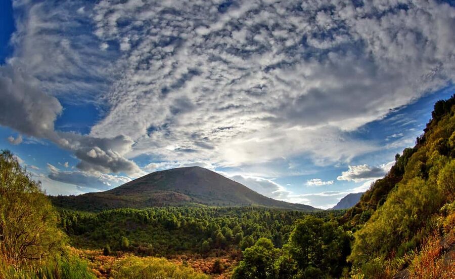 From Naples: Mount Vesuvius Half-Day Tour with Lunch - A one-hour lunch stop near Pompeii