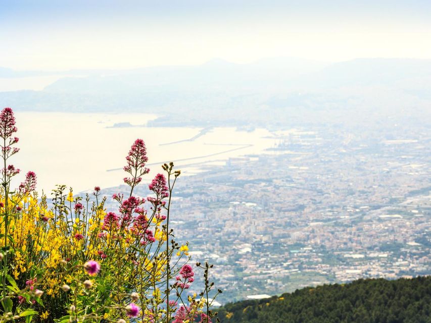 From Naples: Mount Vesuvius Transfer with Entry Tickets - The Walk to the Crater and Back