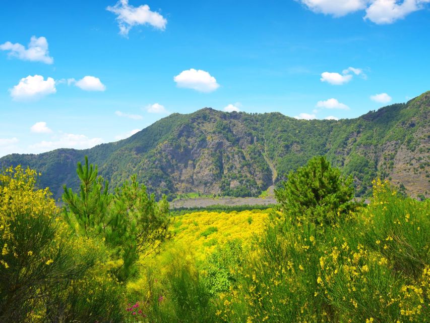 From Naples: Mount Vesuvius Transfer with Entry Tickets - Booking Advice and Cancellation Flexibility