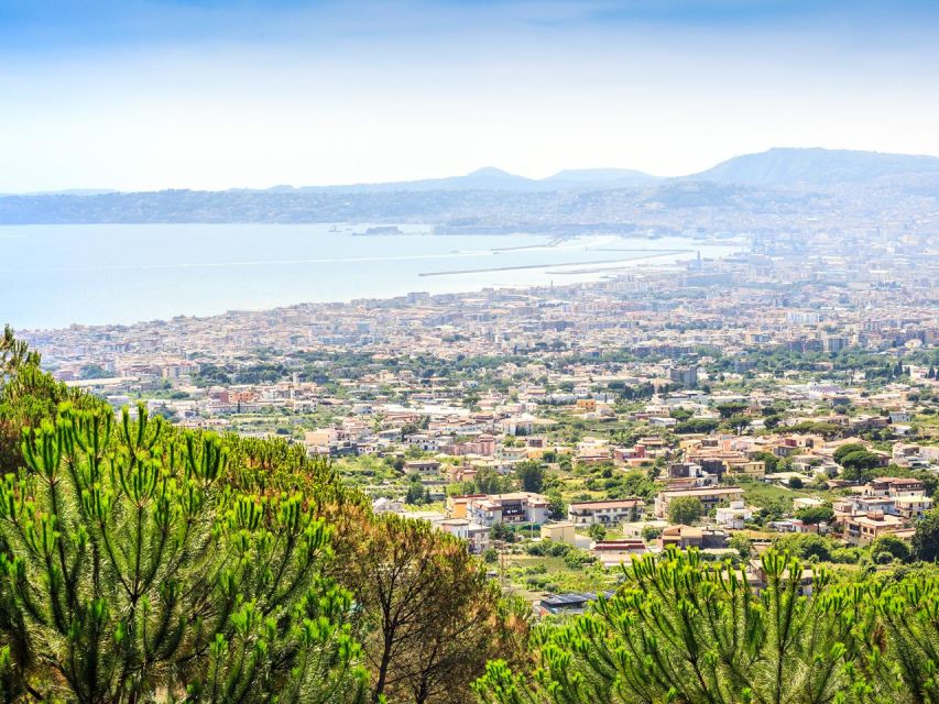 From Naples: Mount Vesuvius Transfer with Entry Tickets - The 40-Minute Ride Toward Vesuvius