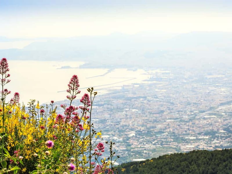 From Naples or Pompeii: Vesuvius Easy Tour - Starting in Naples or Pompeii