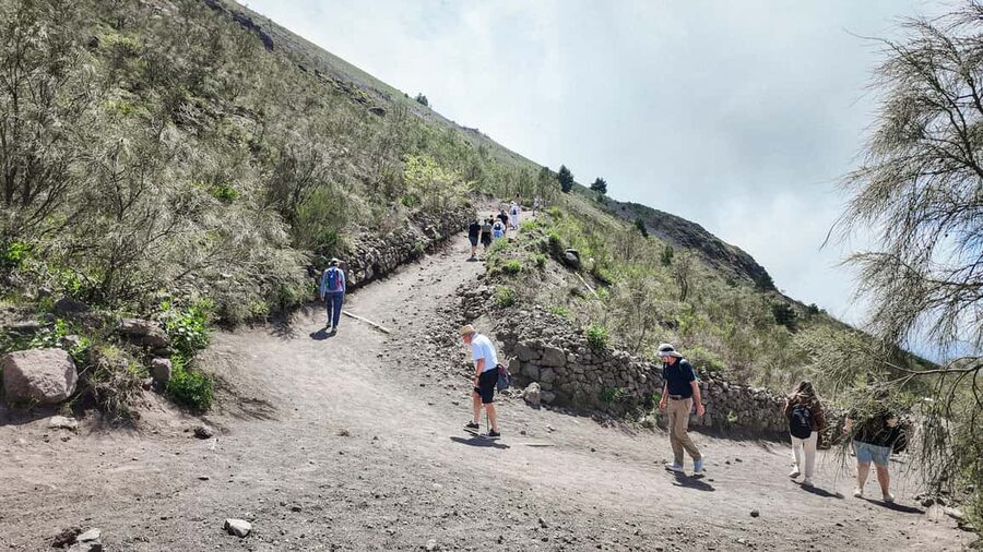 From Naples or Pompeii: Vesuvius Transfer and Entry Ticket - Who should book this experience?