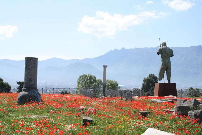 From Naples: Pompeii and Vesuvius by Bus - What $41 really buys you