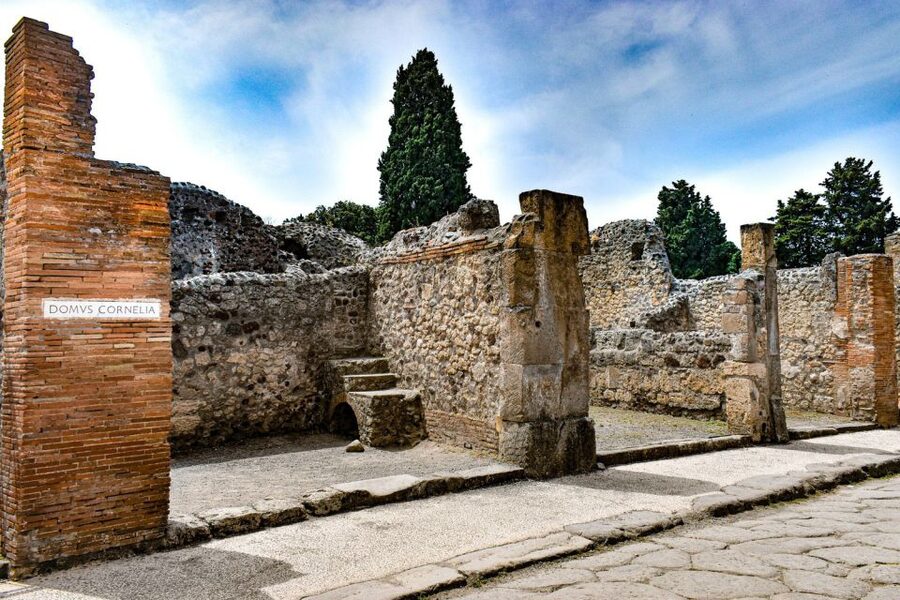 From Naples: Pompeii and Vesuvius Full-Day Tour with Lunch - Who will enjoy this day most?