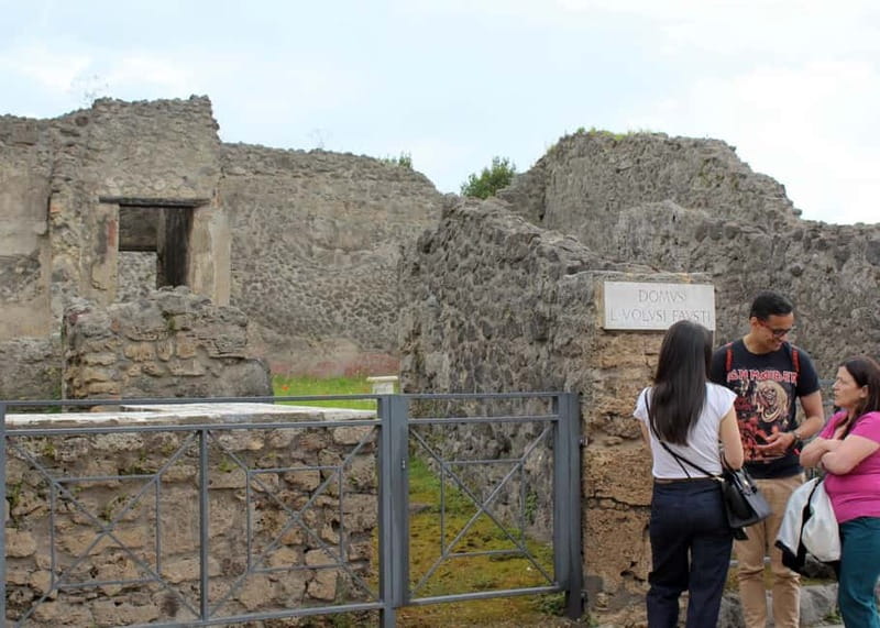 From Naples: Pompeii and Vesuvius Tour with Lunch Included - Leaving Naples by air-conditioned minibus