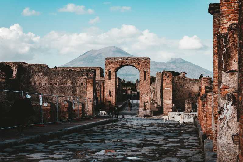 From Naples: Pompeii and Vesuvius Tour with Ticket Options - Why this Naples day trip works