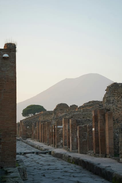 From Naples: Pompeii, Herculaneum, and Vesuvius Private Tour - Practical advice for making the day easier