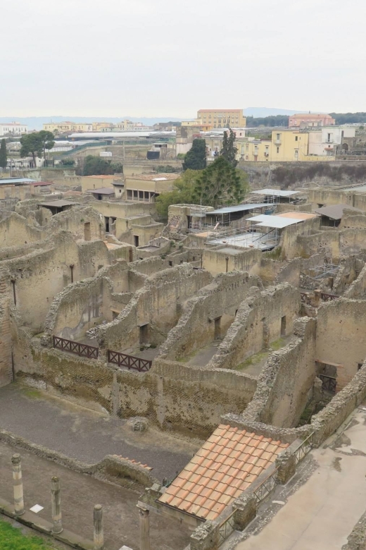 From Naples: Pompeii, Herculaneum, and Vesuvius Private Tour - What the private vehicle adds to the day