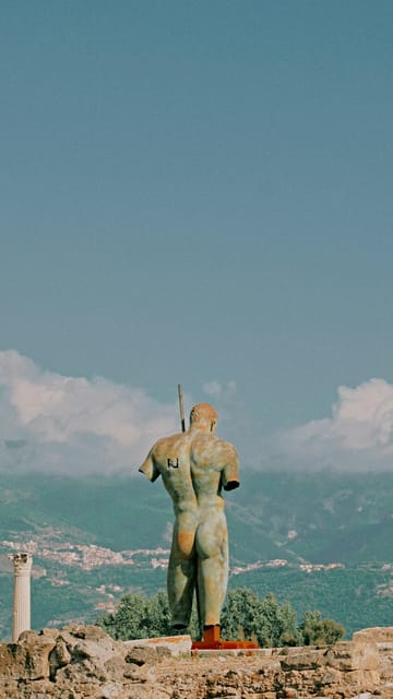 From Naples: Pompeii, Herculaneum, and Vesuvius Private Tour - Driver commentary versus a full guide
