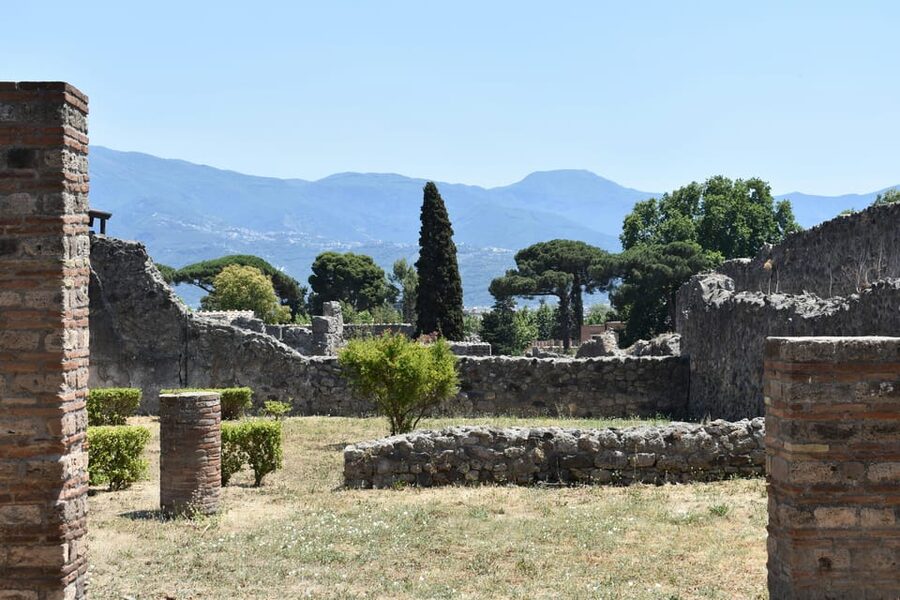 From Naples: Pompeii, Herculaneum, and Vesuvius Private Tour - Price and value at $280.38 per person