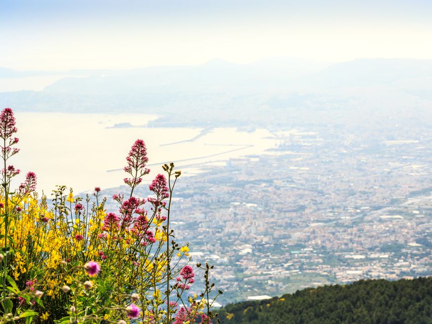 From Naples: Pompeii, Herculaneum, & Vesuvius Full-Day Tour - Who should book this day trip?