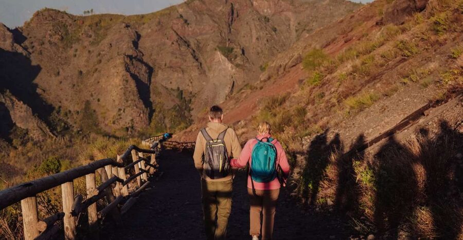 From Naples: Pompeii & Mount Vesuvius Full-Day Private Tour - The essential points at a glance