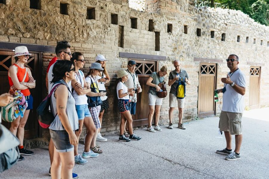 From Naples: Pompeii Ruins & Mount Vesuvius Day Tour - Key points to know before booking