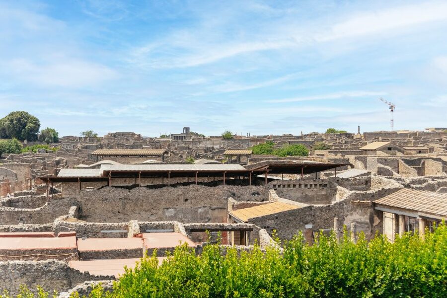 From Naples: Pompeii Ruins & Mount Vesuvius Day Tour - Who should book this day trip?