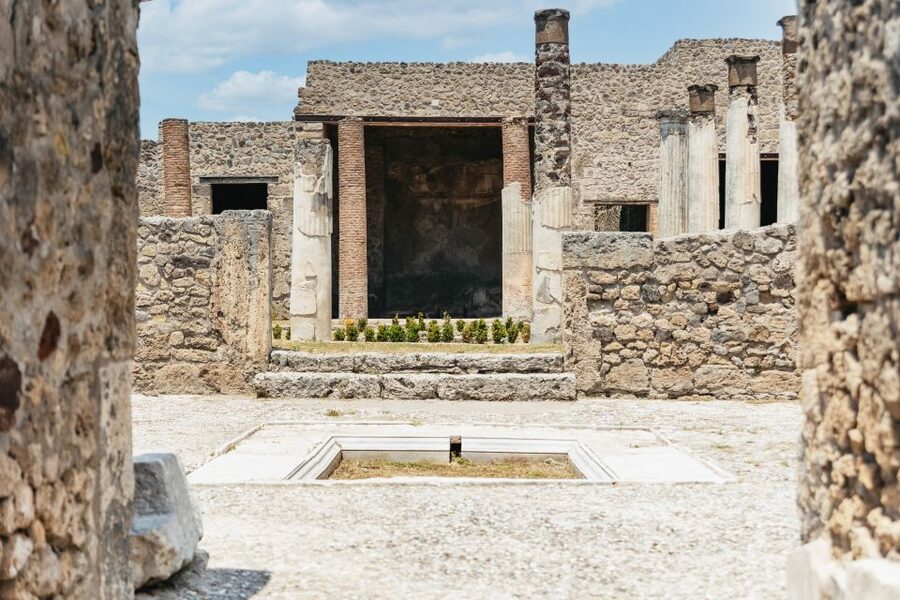 From Naples: Pompeii Ruins & Mount Vesuvius Day Tour - Live guide or audio guide?