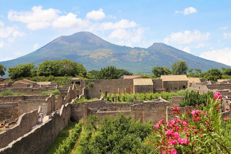 From Naples Port:Pompeii+Vesuvius tour - Reaching 1,000 meters on Mount Vesuvius