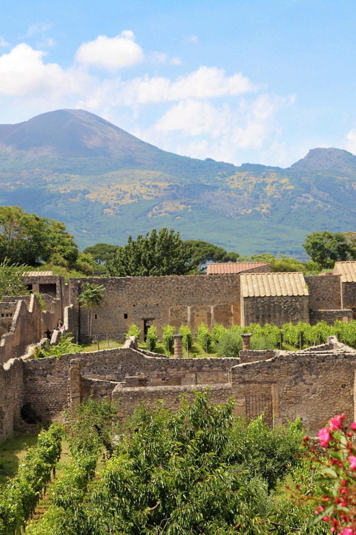 From Naples Port:Pompeii+Vesuvius tour - Two hours inside Pompeii with an audio guide