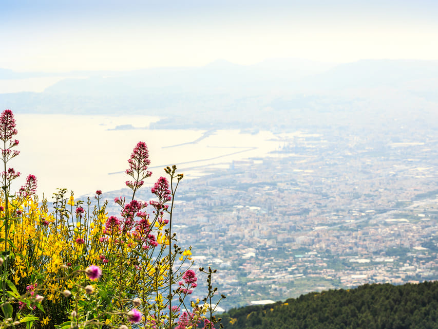 From Naples Port: Vesuvius and Pompeii Tour with Tickets - Why this Naples shore excursion works well