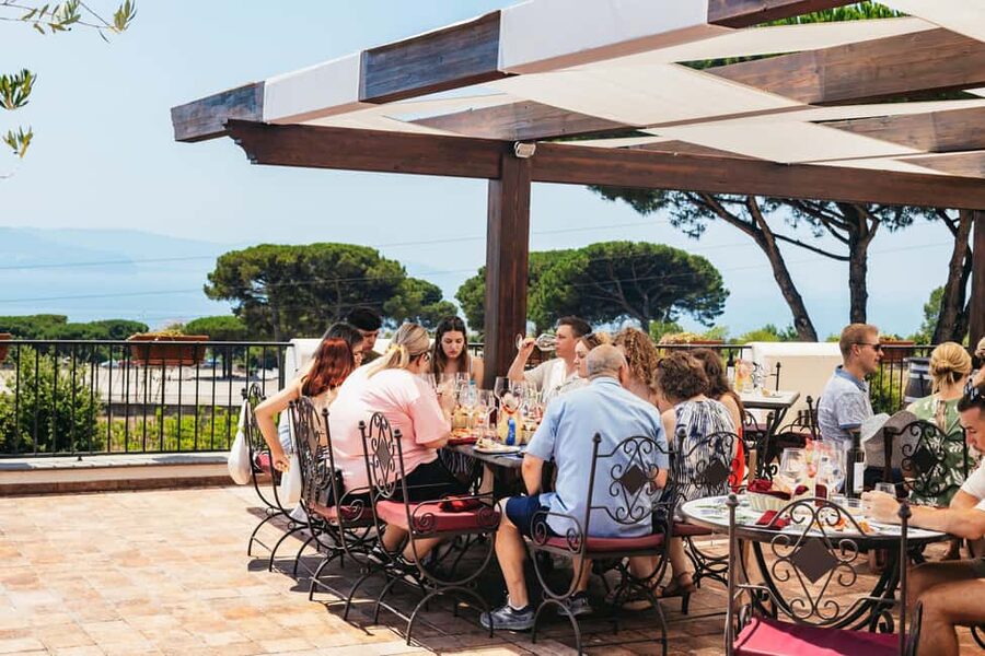 From Naples: Wine Tasting Tour on Vesuvius Slopes with Lunch - Leaving Naples for the volcanic slopes