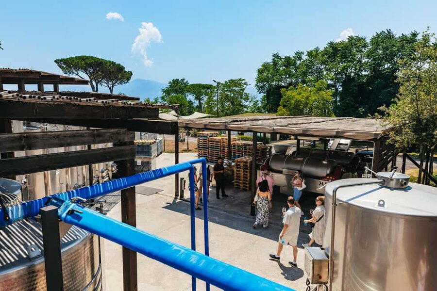 From Naples: Wine Tasting Tour on Vesuvius Slopes with Lunch - Lunch on the terrace with Campanian wines